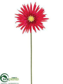 Spider Gerbera Daisy Spray - Beauty - Pack of 36