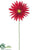 Spider Gerbera Daisy Spray - Red - Pack of 36