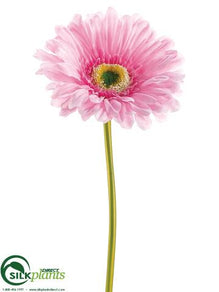Large Gerbera Daisy Spray - Lavender Light - Pack of 24