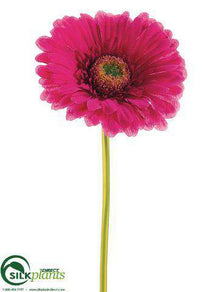 Large Gerbera Daisy Spray - Lavender - Pack of 24