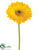 Large Gerbera Daisy Spray - Yellow - Pack of 24
