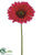 Large Gerbera Daisy Spray - Beauty - Pack of 12