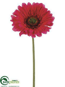 Large Gerbera Daisy Spray - Beauty - Pack of 12
