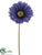 Large Gerbera Daisy Spray - Purple Dark - Pack of 12