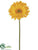 Large Gerbera Daisy Spray - Yellow - Pack of 12