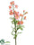 Wild Delphinium Spray - Pink Two Tone - Pack of 12