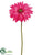 Gerbera Daisy Spray - Mauve - Pack of 12