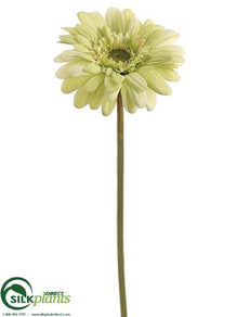 Gerbera Daisy Spray - Pink Hot - Pack of 12