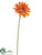 Gerbera Daisy Spray - Turquoise - Pack of 12