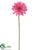 Gerbera Daisy Spray - Green Light Pink Hot - Pack of 12