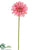 Gerbera Daisy Spray - Pink - Pack of 12