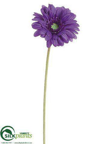 Gerbera Daisy Spray - Purple - Pack of 12