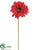 Gerbera Daisy Spray - Beauty - Pack of 12