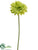 Gerbera Daisy Spray - Green - Pack of 12