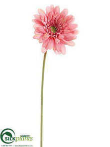 Gerbera Daisy Spray - Green Light Pink Hot - Pack of 12