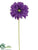 Gerbera Daisy Spray - Purple - Pack of 12