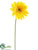 Gerbera Daisy Spray - Turquoise - Pack of 12