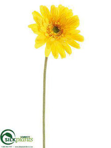 Gerbera Daisy Spray - Turquoise - Pack of 12