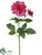 Dahlia Spray - Beauty - Pack of 12