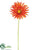 Gerbera Daisy Spray - Orange - Pack of 12