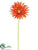 Gerbera Daisy Spray - Orange - Pack of 12