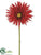 Gerbera Daisy Spray - Red - Pack of 12