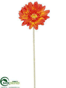 Gerbera Daisy Spray - Orange - Pack of 24