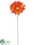 Gerbera Daisy Spray - Orange - Pack of 24