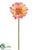 Gerbera Daisy Spray - Peach - Pack of 24