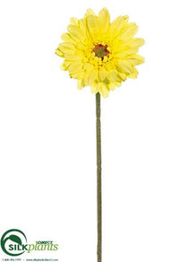 Gerbera Daisy Spray - Yellow Light - Pack of 24