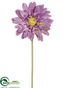 Large Royal Gerbera Daisy Spray - Lavender Dark - Pack of 24