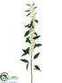 Silk Plants Direct Euphorbia Spray - Cream - Pack of 12
