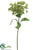 Euphorbia Spray - Green - Pack of 12
