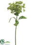 Silk Plants Direct Euphorbia Spray - Green - Pack of 12