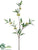 Eucalyptus Blossom Spray - Green - Pack of 12