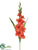 Gladiolus Spray - Orange - Pack of 12
