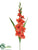 Gladiolus Spray - Orange - Pack of 12