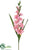 Gladiolus Spray - Pink - Pack of 12