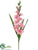 Gladiolus Spray - Pink - Pack of 12