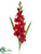 Gladiolus Spray - Red - Pack of 12