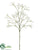 Gypsophila Spray - White - Pack of 12