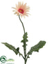 Silk Plants Direct Jade Impression Star Gerbera Daisy Spray - Cream Pink - Pack of 12