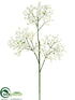 Silk Plants Direct Forget - White - Pack of 24