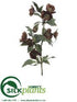 Silk Plants Direct Helleborus Spray - Coffee - Pack of 12