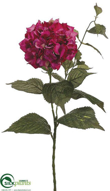 Hydrangea Spray - Beauty - Pack of 12