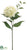 Hydrangea Spray - Cream White - Pack of 12