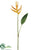 Mini Heliconia Spray - Gold Yellow - Pack of 12