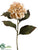 Hydrangea Spray - Vanilla - Pack of 12