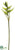 Heliconia Spray - Green - Pack of 12