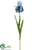 Iris Spray - Blue - Pack of 12